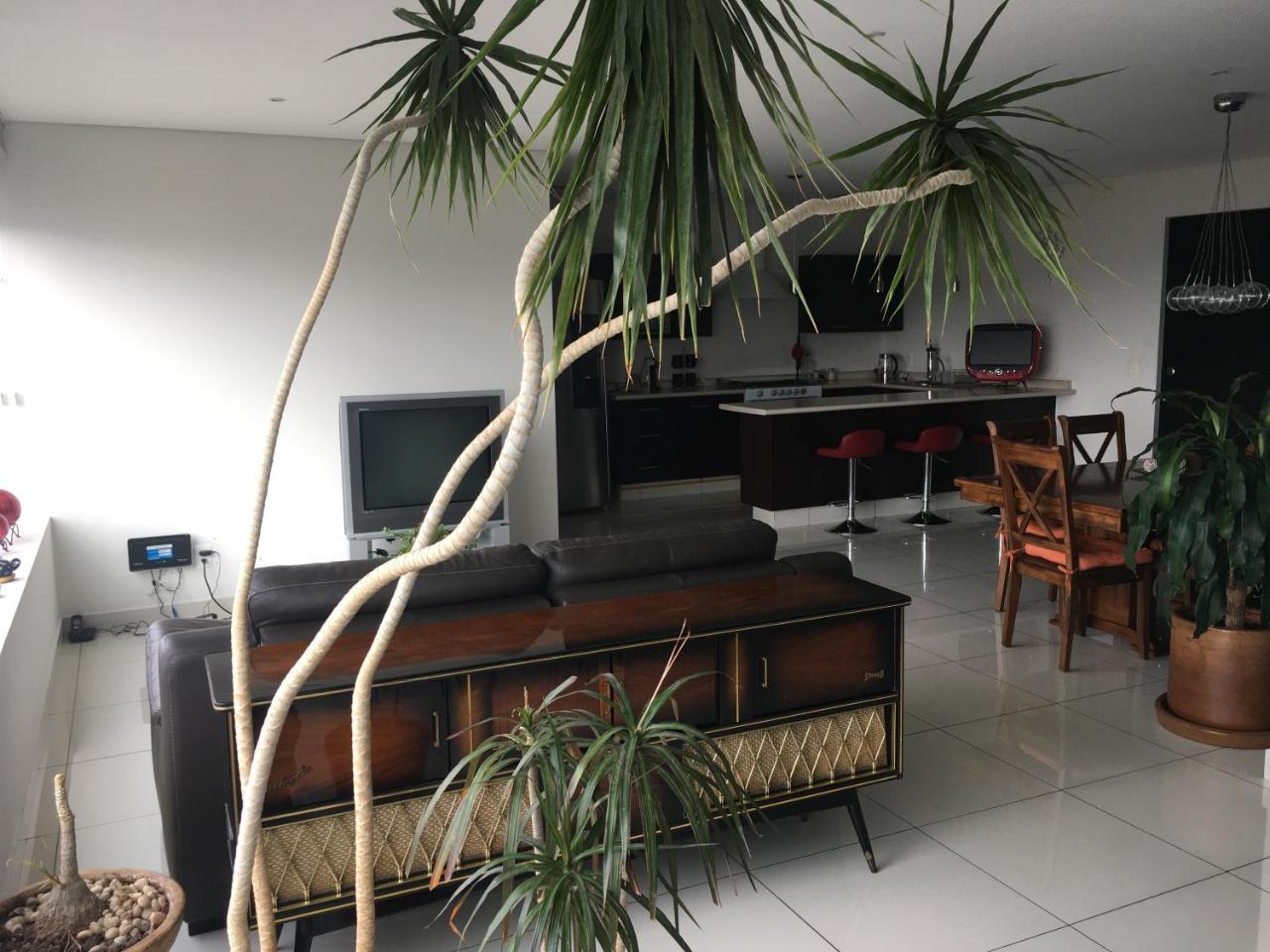Napoles Condo Suites Мехіко Екстер'єр фото